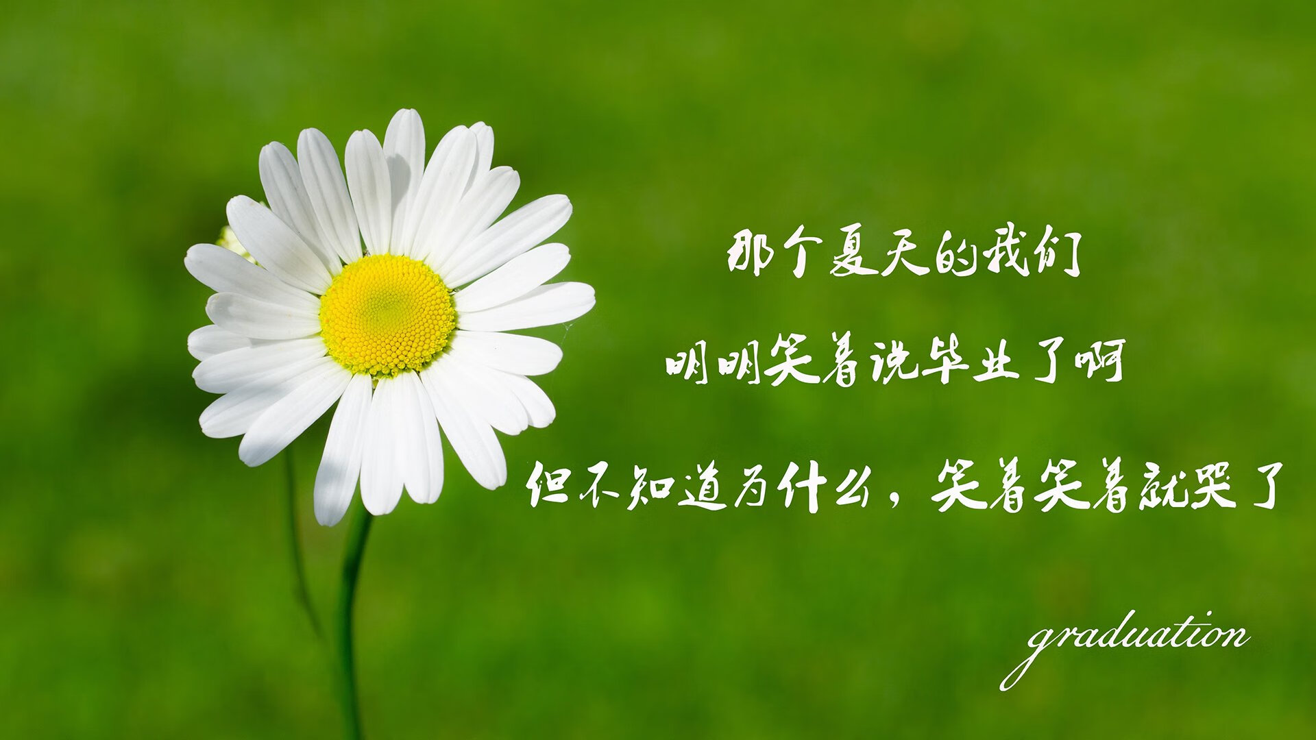 羽毛球亚锦赛，中国队四项晋级决赛，羽毛球 亚锦赛