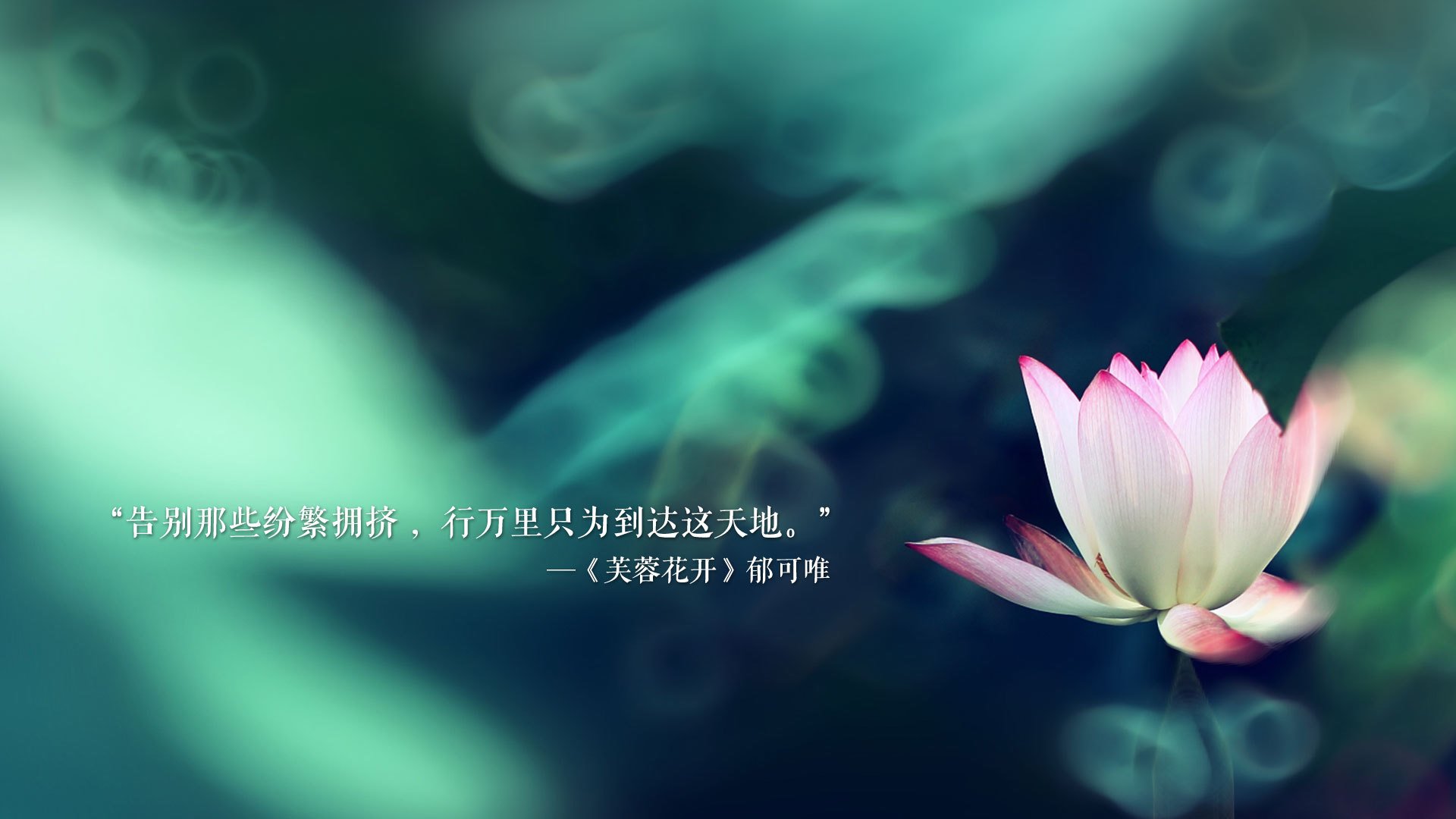 中国足球年度射门精度变化报告，足球射门大赛