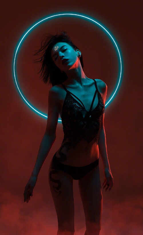 南非橄榄球的青训体系为世界橄榄球培养顶级球员，南非橄榄球冠军