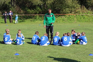 爱游戏体育-欧洲杯逆转奇迹：战术配合与个人能力的完美呈现，欧洲杯逆天进球