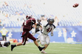 爱游戏登录入口-皮特·斯图斯：南非羚羊队的防守核心，一直稳定发挥