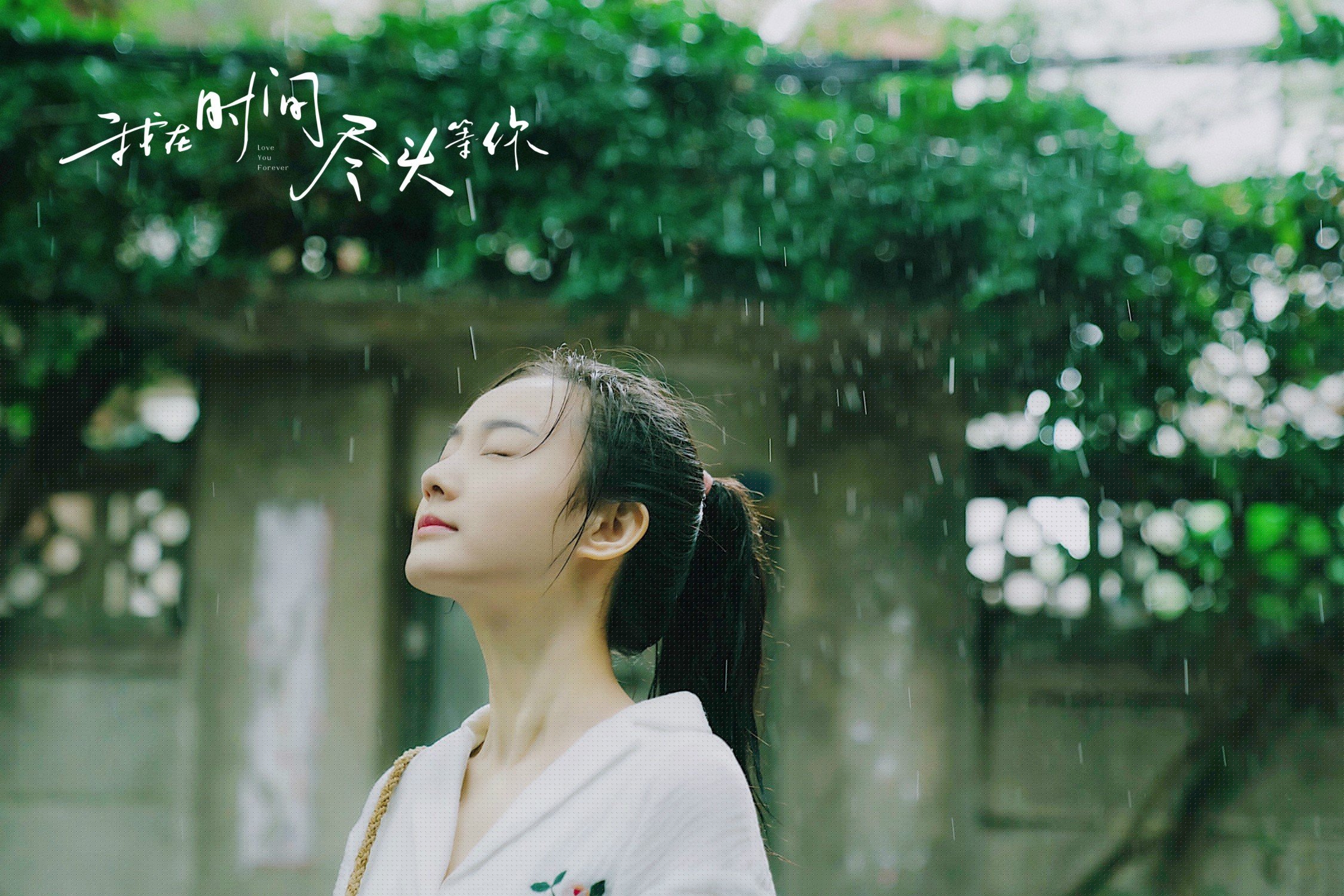 职业球队赛前发布战术安排提升球迷观赛理解深度,球队比赛规则