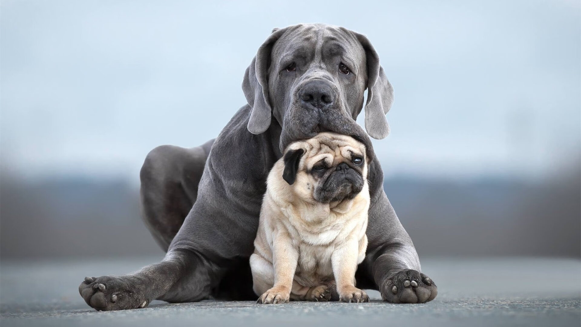 爱游戏体育平台-英超最后冲刺：一切皆有可能！，英超最后两轮