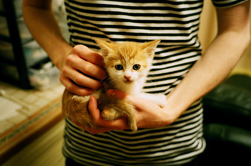 西甲超级球星:比赛中的精华瞬间数不胜数,西甲巨星