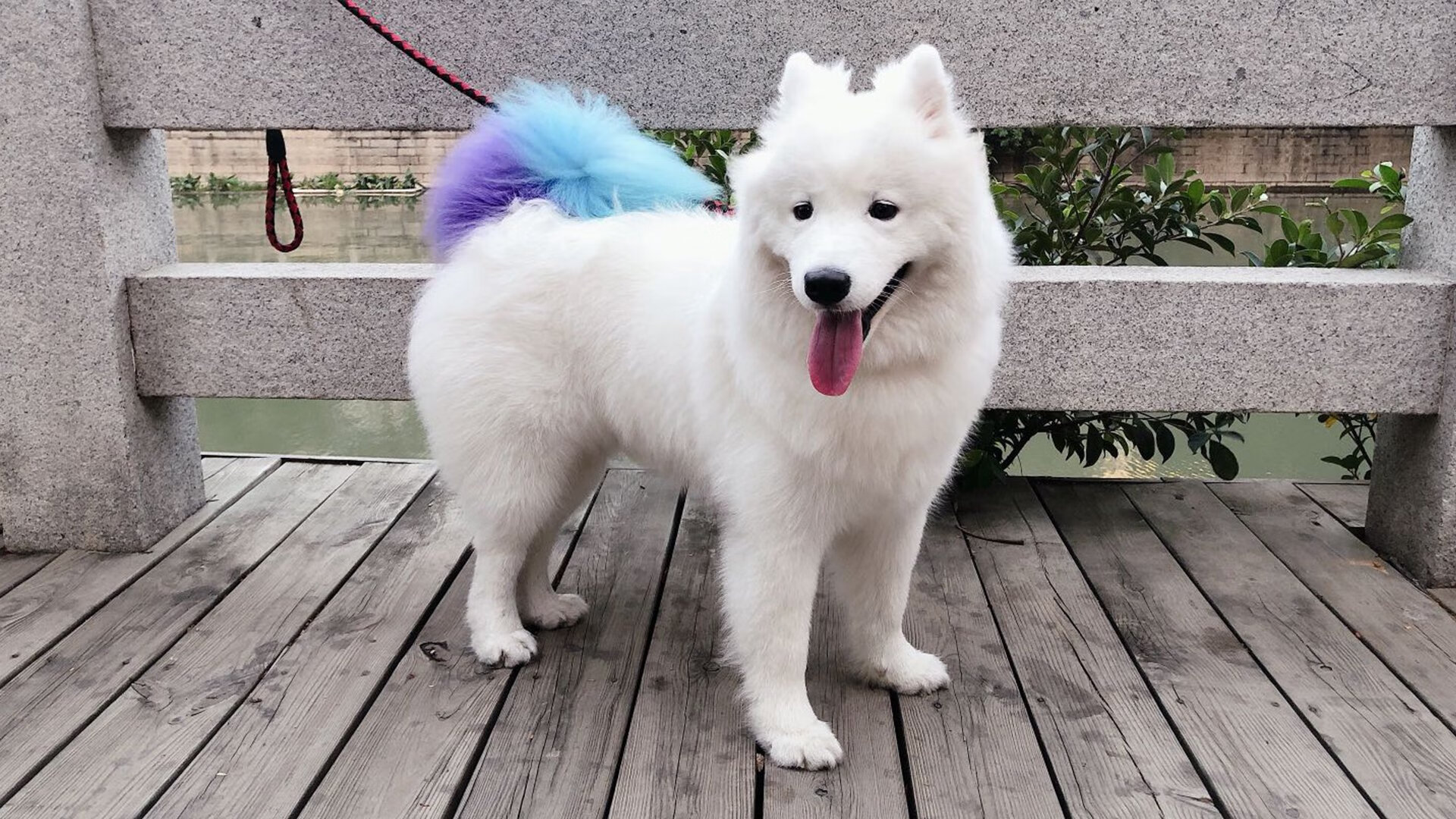 爱游戏中国官方网站平台-高校篮球课程开设视频复盘环节增强战术理解，高校篮球教学