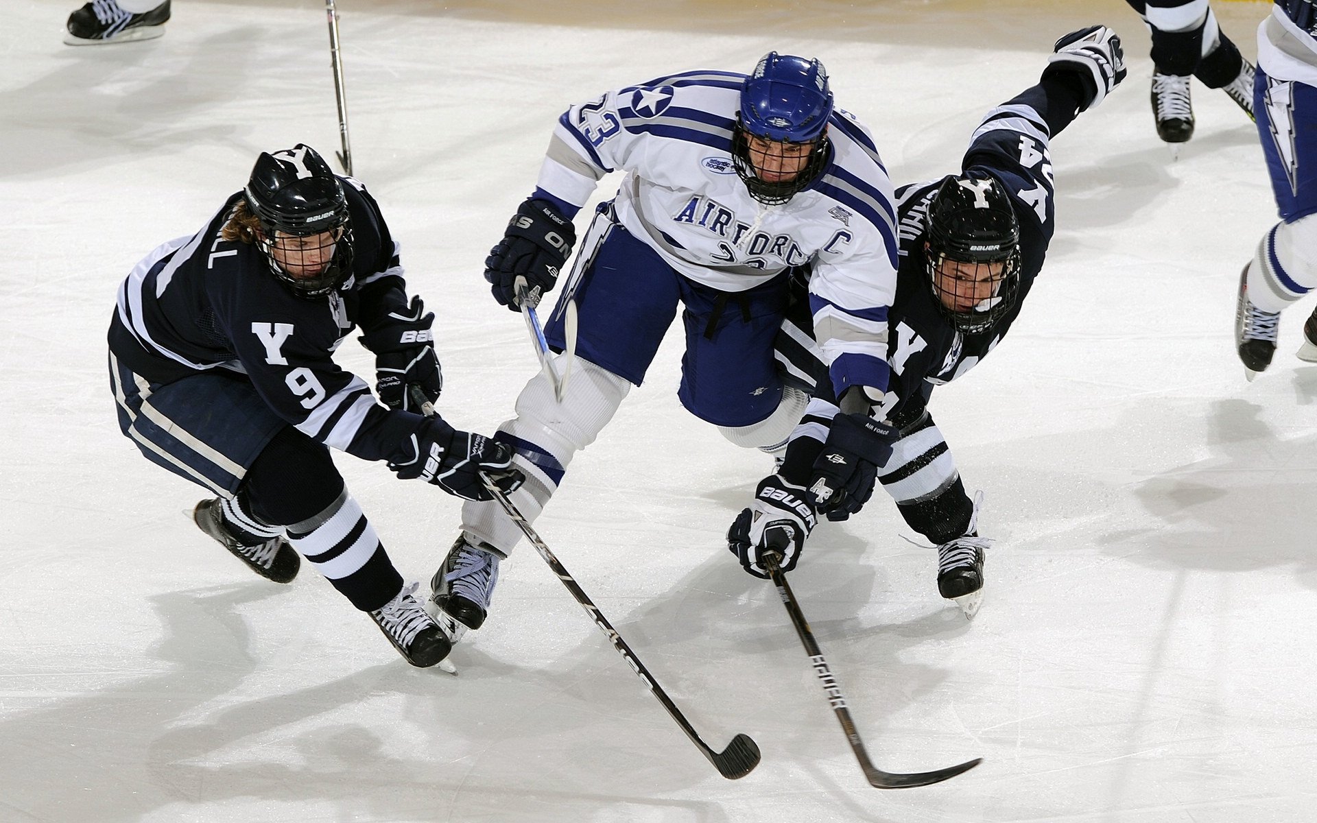 裁判员职业素养提升专项培训在广州顺利举行，职业技能竞赛裁判员培训